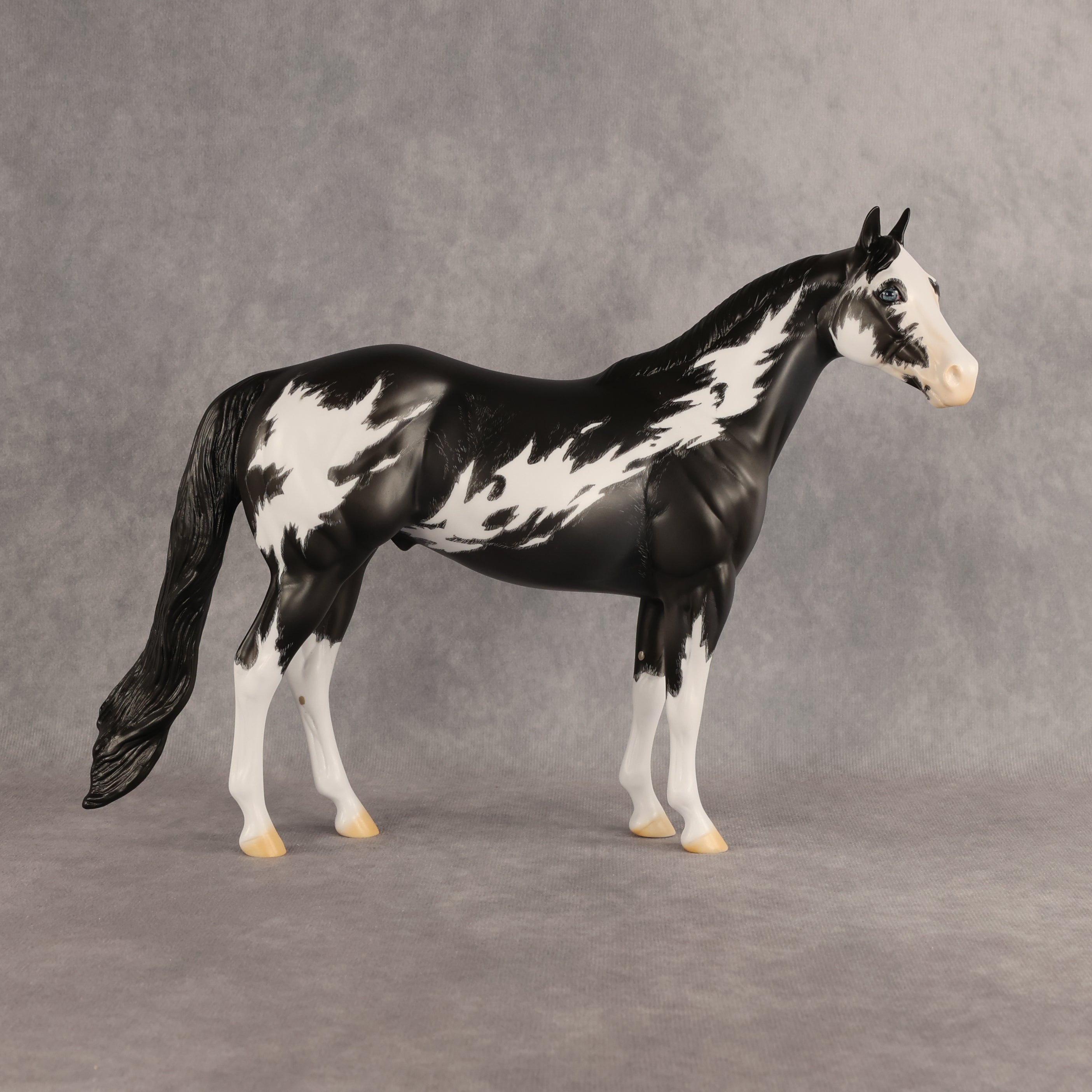 The Flock In Our Stars OOAK Ideal Stock Horse by Dawn Quick DDOOAKs26