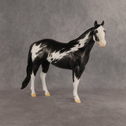 The Flock In Our Stars OOAK Ideal Stock Horse by Dawn Quick DDOOAKs26