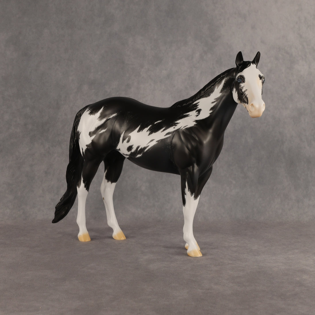 The Flock In Our Stars OOAK Ideal Stock Horse by Dawn Quick DDOOAKs26