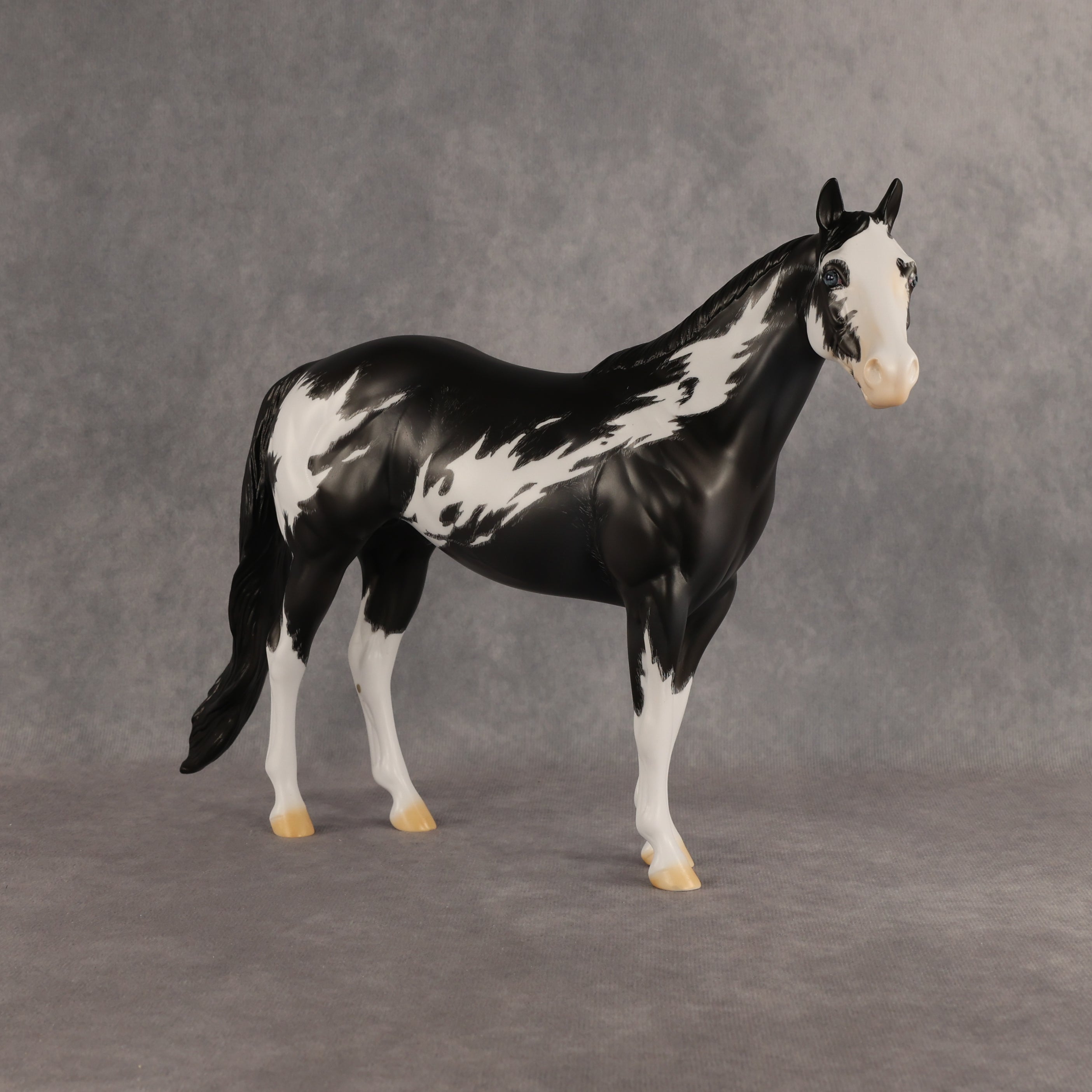 The Flock In Our Stars OOAK Ideal Stock Horse by Dawn Quick DDOOAKs26