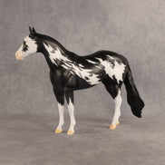 The Flock In Our Stars OOAK Ideal Stock Horse by Dawn Quick DDOOAKs26