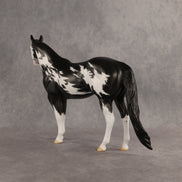 The Flock In Our Stars OOAK Ideal Stock Horse by Dawn Quick DDOOAKs26