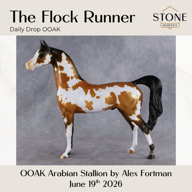 The Flock Runner OOAK Arabian Stallion by Alex Fortman DDOOAKs26
