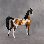The Flock Runner OOAK Arabian Stallion by Alex Fortman DDOOAKs26