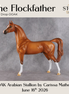The Flockfather OOAK Arabian Stallion by Carissa Mathews DDOOAKs26