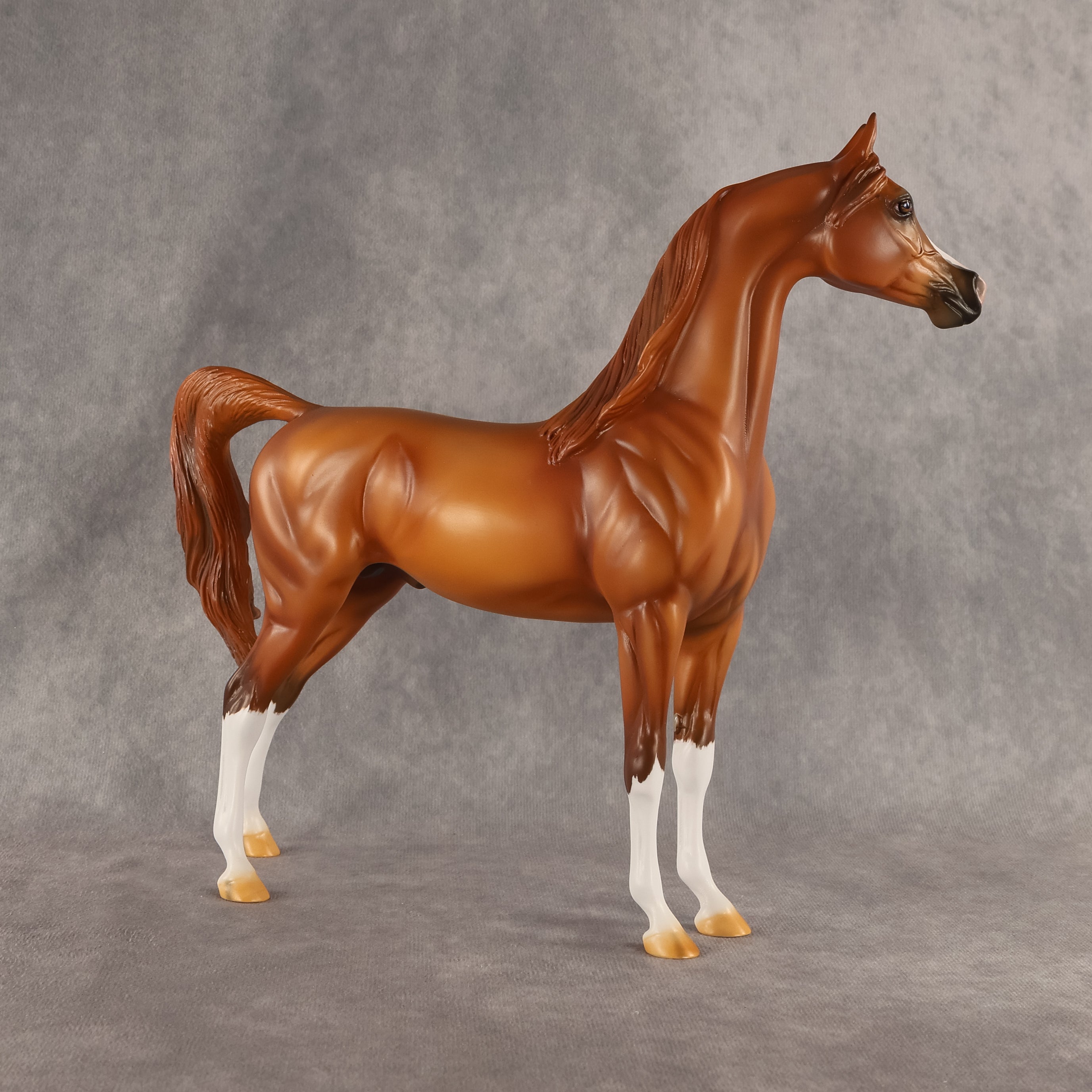 The Flockfather OOAK Arabian Stallion by Carissa Mathews DDOOAKs26