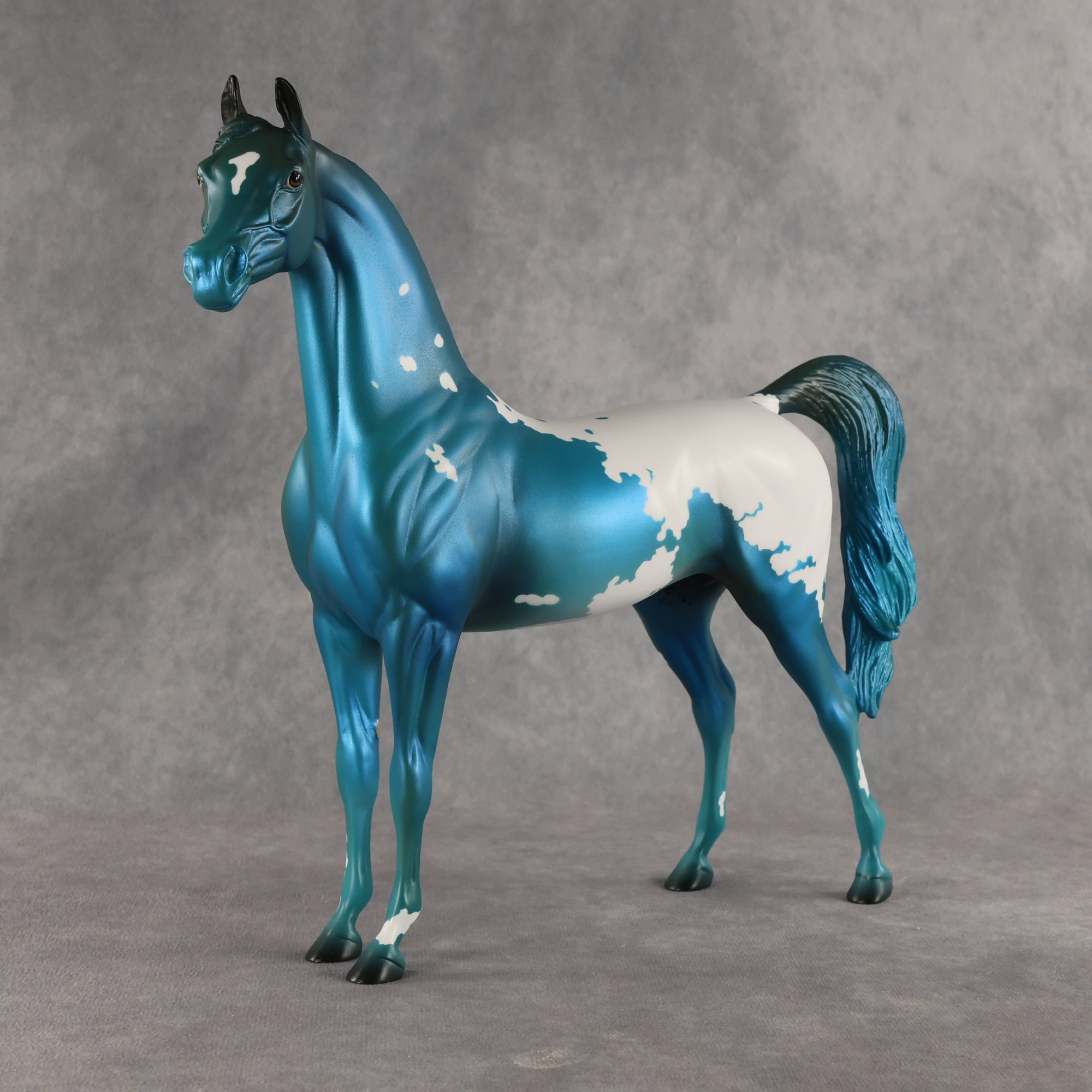 The Flockshank Redemption OOAK Arabian Stallion by Alex Fortman DDOOAKs26