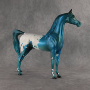 The Flockshank Redemption OOAK Arabian Stallion by Alex Fortman DDOOAKs26