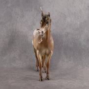 The Forest Spirit OOAK EFCM Ideal Stock Horse by Mindy Berg Best Offer 10.6.2026