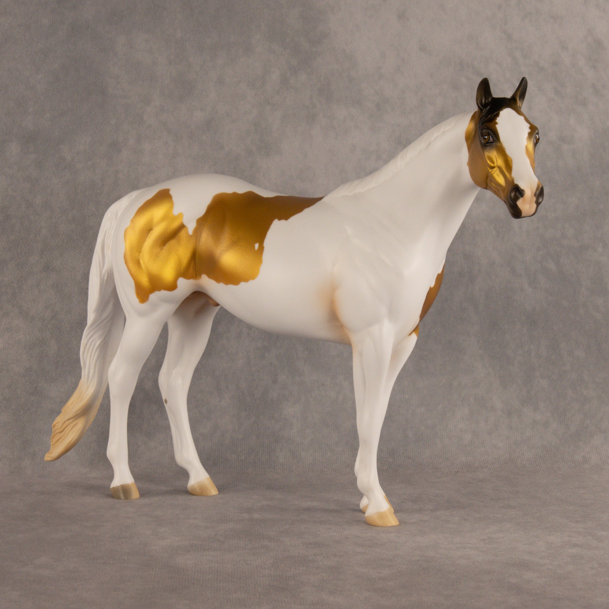 The Gambit OOAK Ideal Stock Horse by Alex Fortman DDOOAKs26