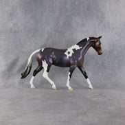 The Perks of Being a Flockie OOAK Pony by Jess Hamill DDOOAKs26