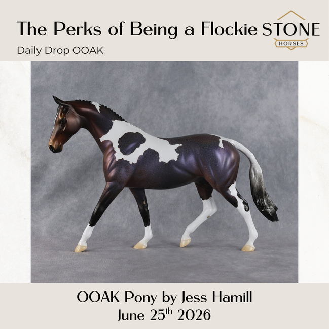 The Perks of Being a Flockie OOAK Pony by Jess Hamill DDOOAKs26