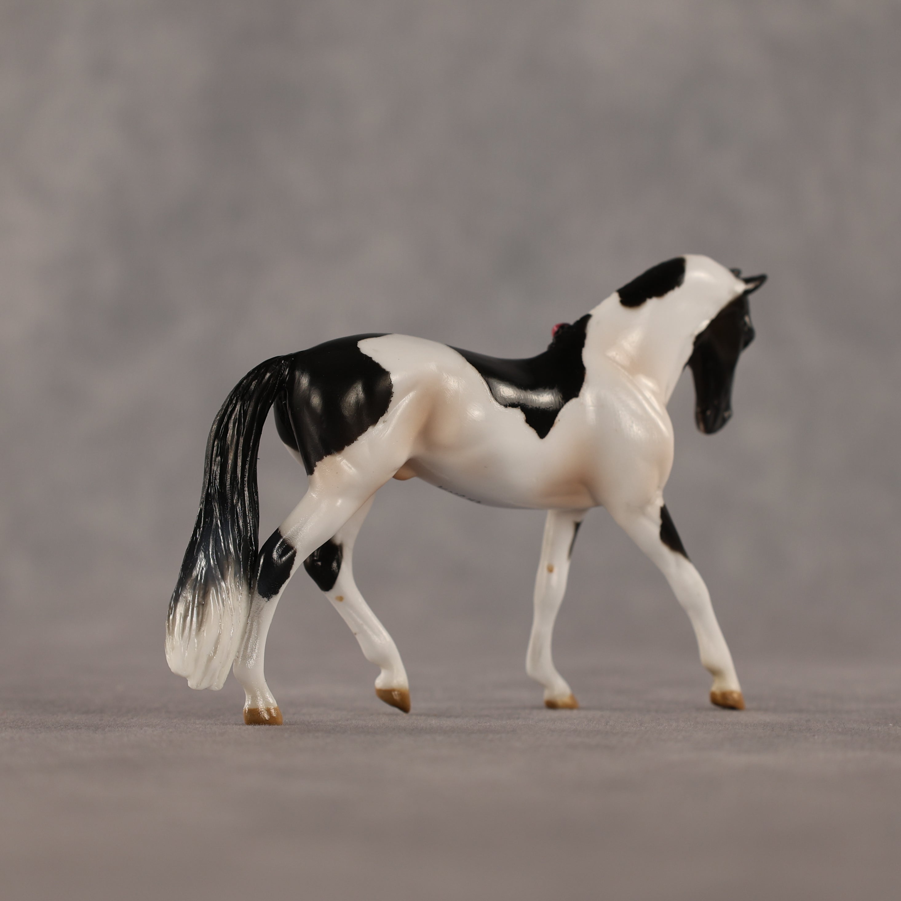 The Piebald OOAK EFCM Chip Warmblood by Kristen Cermele GS26