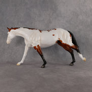 The Tyrant OOAK FCM Remington by Madi Wiseman MM26