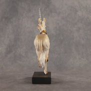The Unicorn Escapes OOAK EFCM Pimento by Kristen Cermele GS26