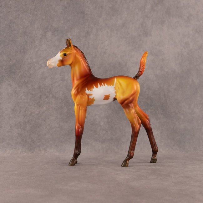 The Flocking Games OOAK Arabian Foal by Dawn Quick EQ26