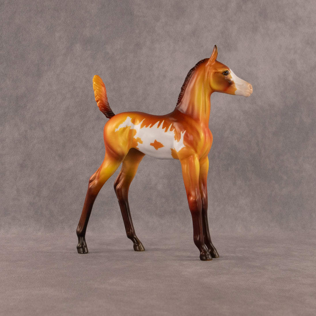The Flocking Games OOAK Arabian Foal by Dawn Quick EQ26