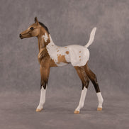 The Good, The Bad, And The Flockie OOAK Arabian Foal by Dawn Quick EQ26