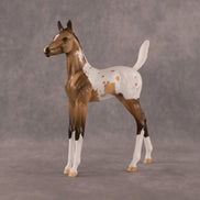 The Good, The Bad, And The Flockie OOAK Arabian Foal by Dawn Quick EQ26