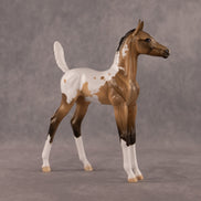 The Good, The Bad, And The Flockie OOAK Arabian Foal by Dawn Quick EQ26