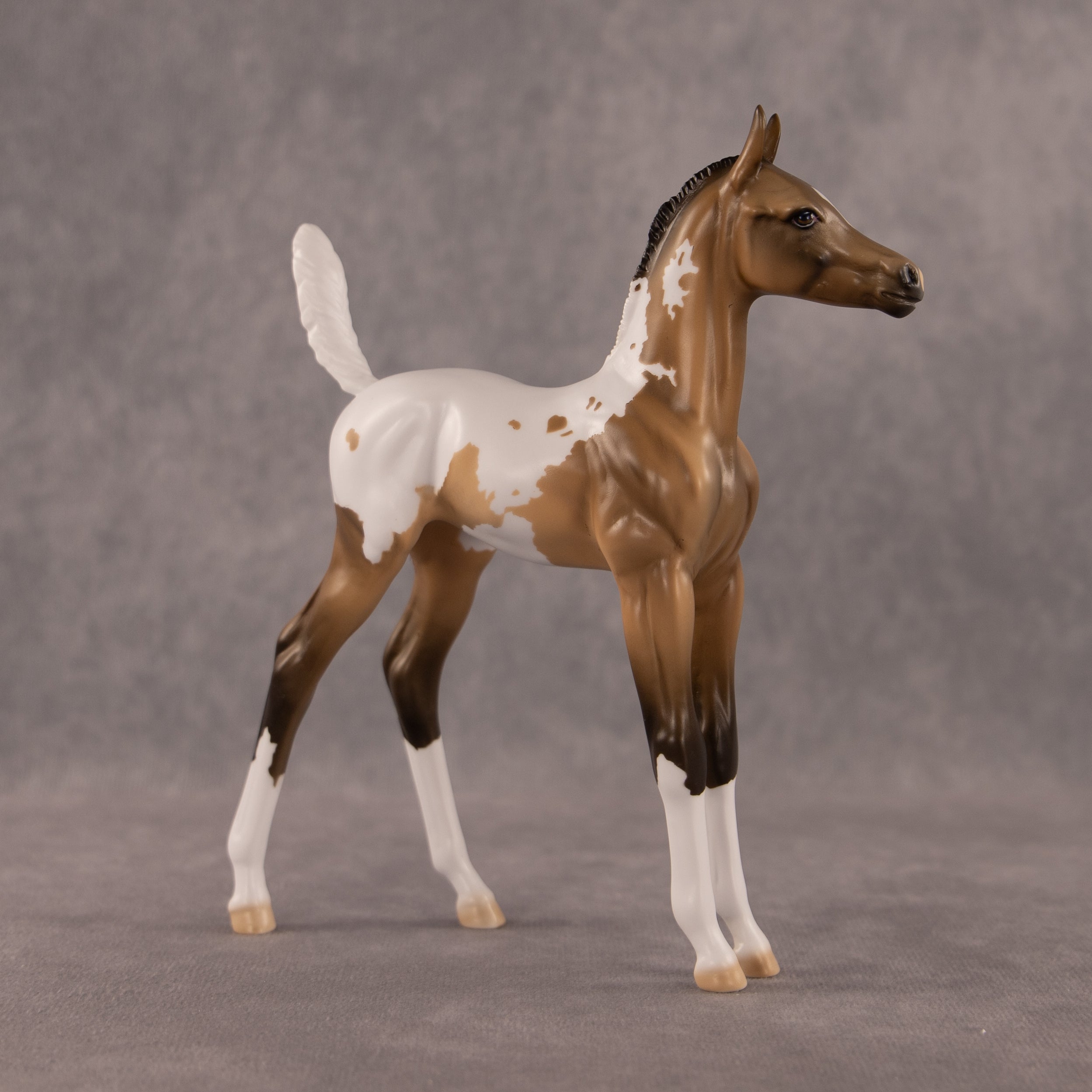 The Good, The Bad, And The Flockie OOAK Arabian Foal by Dawn Quick EQ26