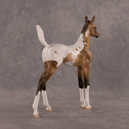 The Good, The Bad, And The Flockie OOAK Arabian Foal by Dawn Quick EQ26