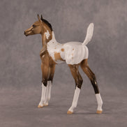 The Good, The Bad, And The Flockie OOAK Arabian Foal by Dawn Quick EQ26