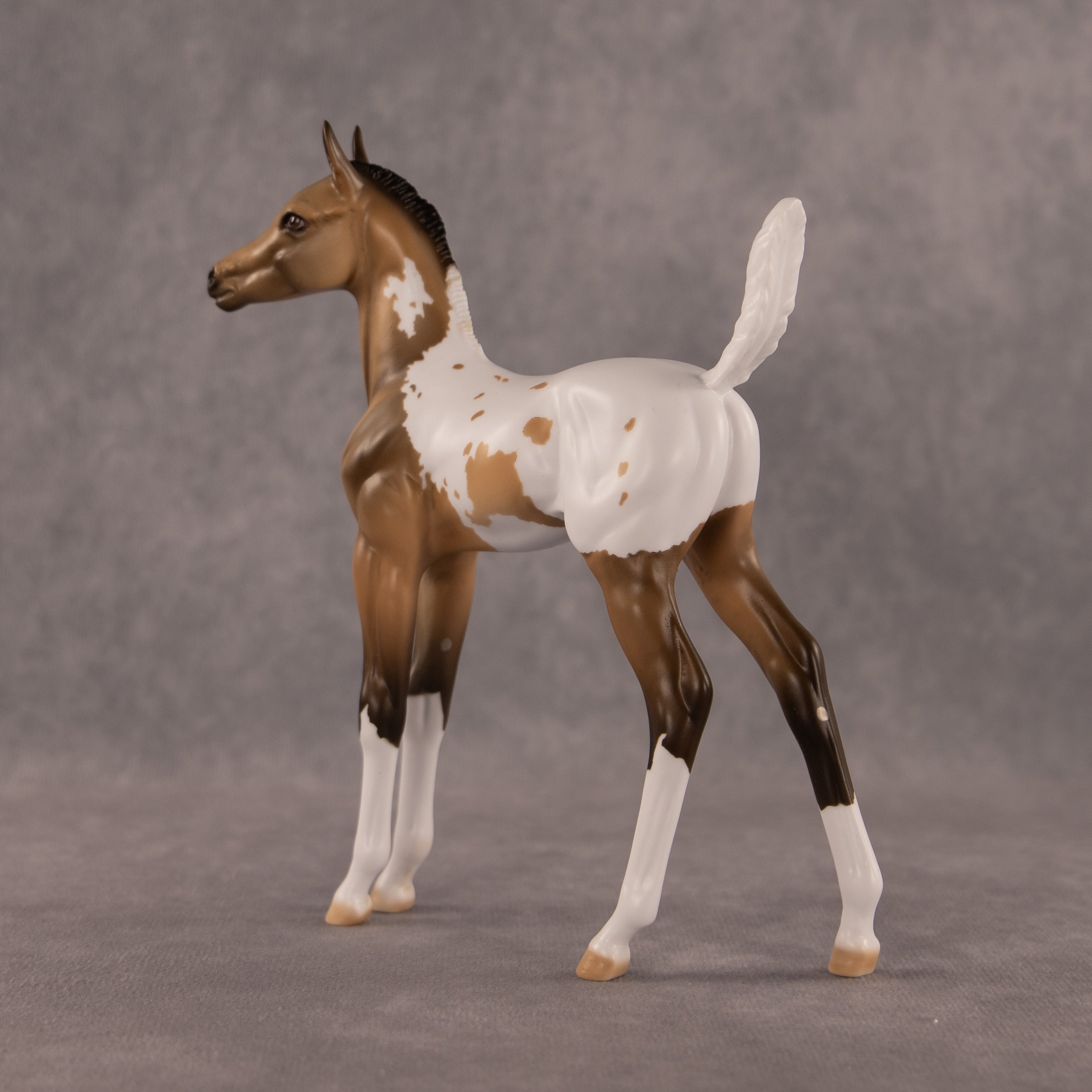 The Good, The Bad, And The Flockie OOAK Arabian Foal by Dawn Quick EQ26
