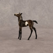 Theren OOAK Chip Foal by Anna Rieck EQ26