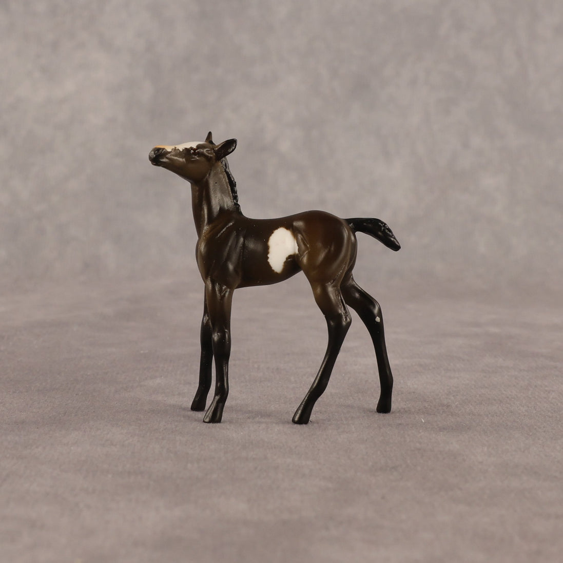 Theren OOAK Chip Foal by Anna Rieck EQ26