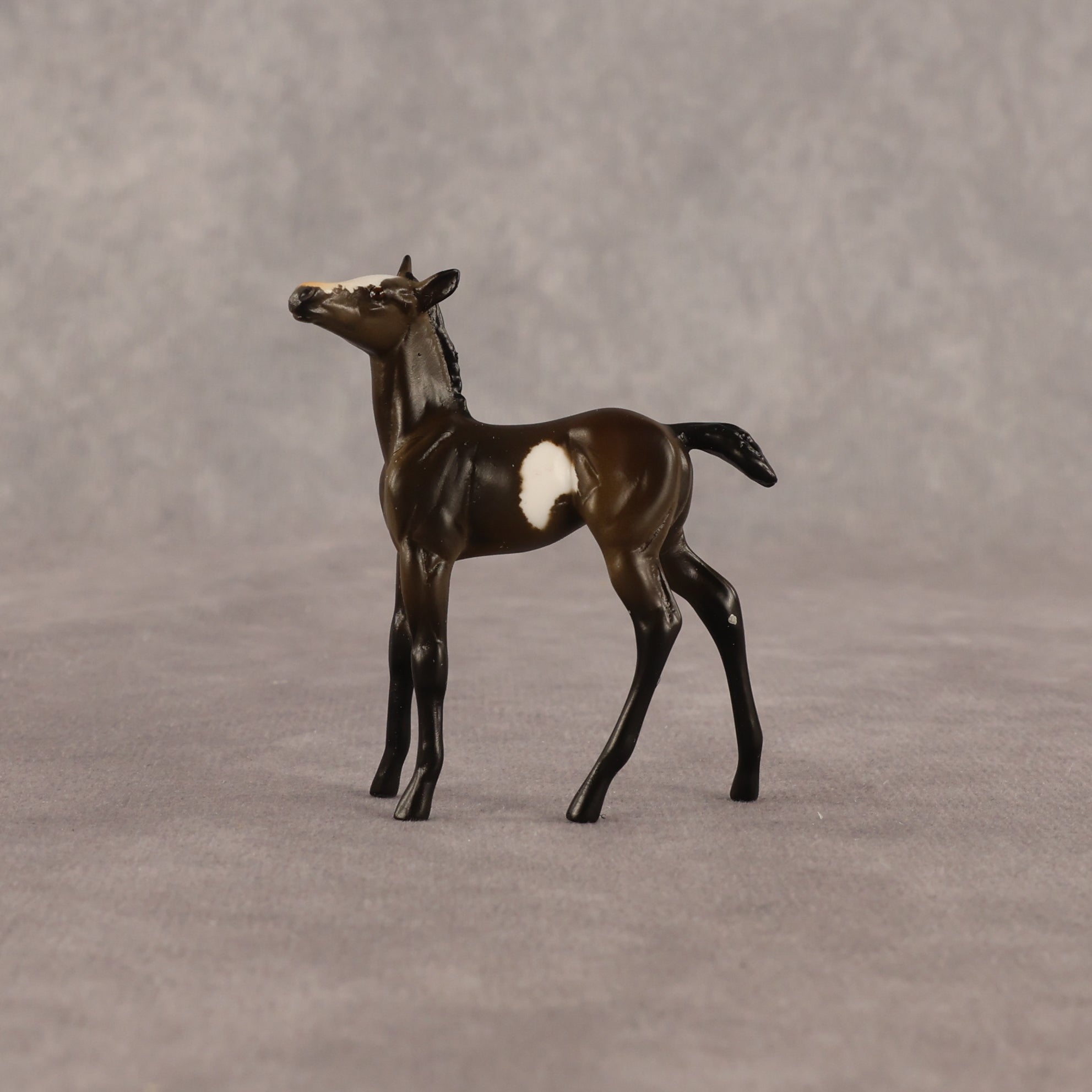 Theren OOAK Chip Foal by Anna Rieck EQ26