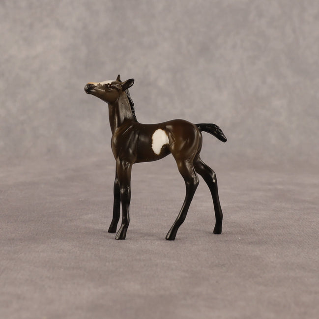 Theren OOAK Chip Foal by Anna Rieck EQ26