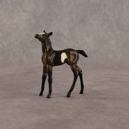 Theren OOAK Chip Foal by Anna Rieck EQ26