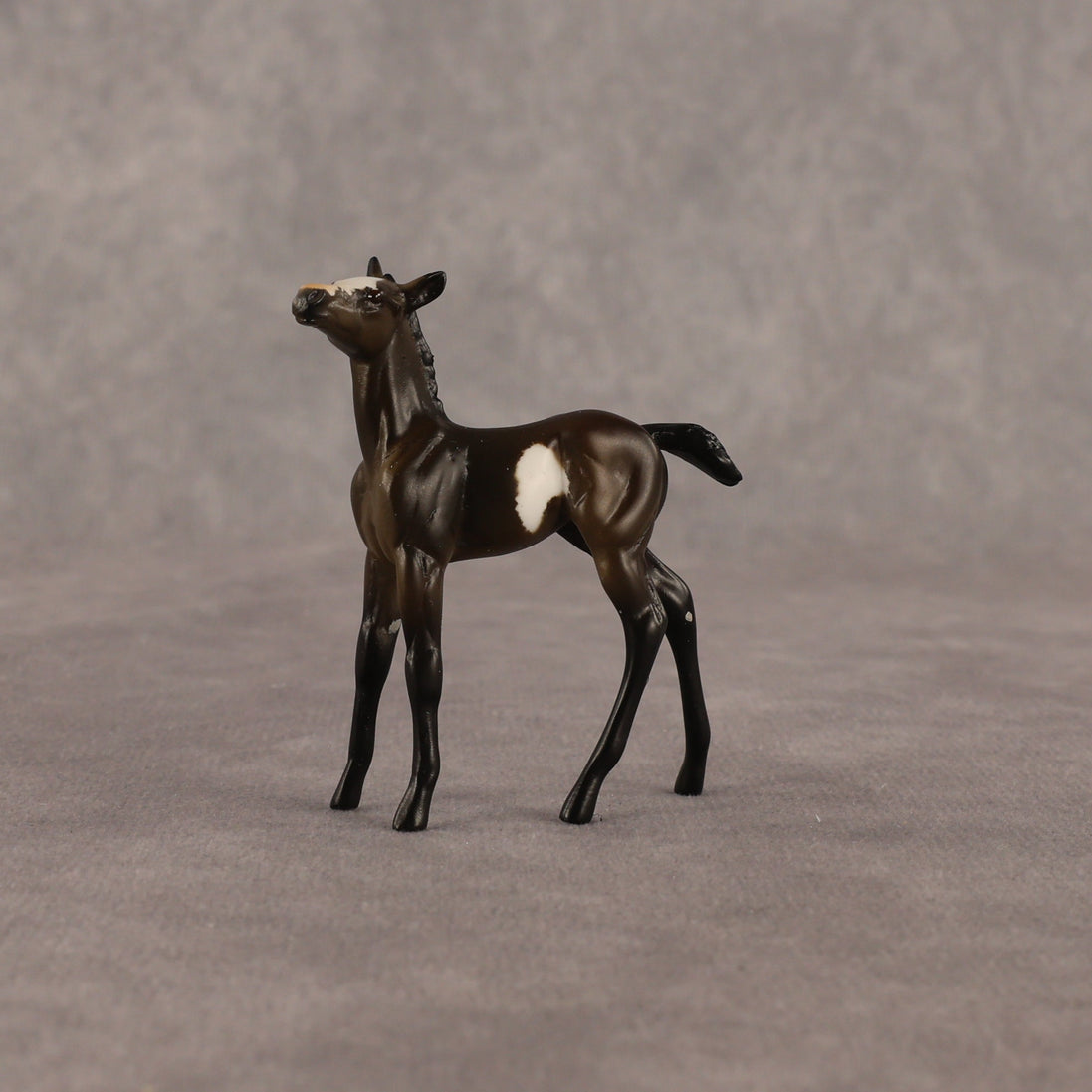 Theren OOAK Chip Foal by Anna Rieck EQ26
