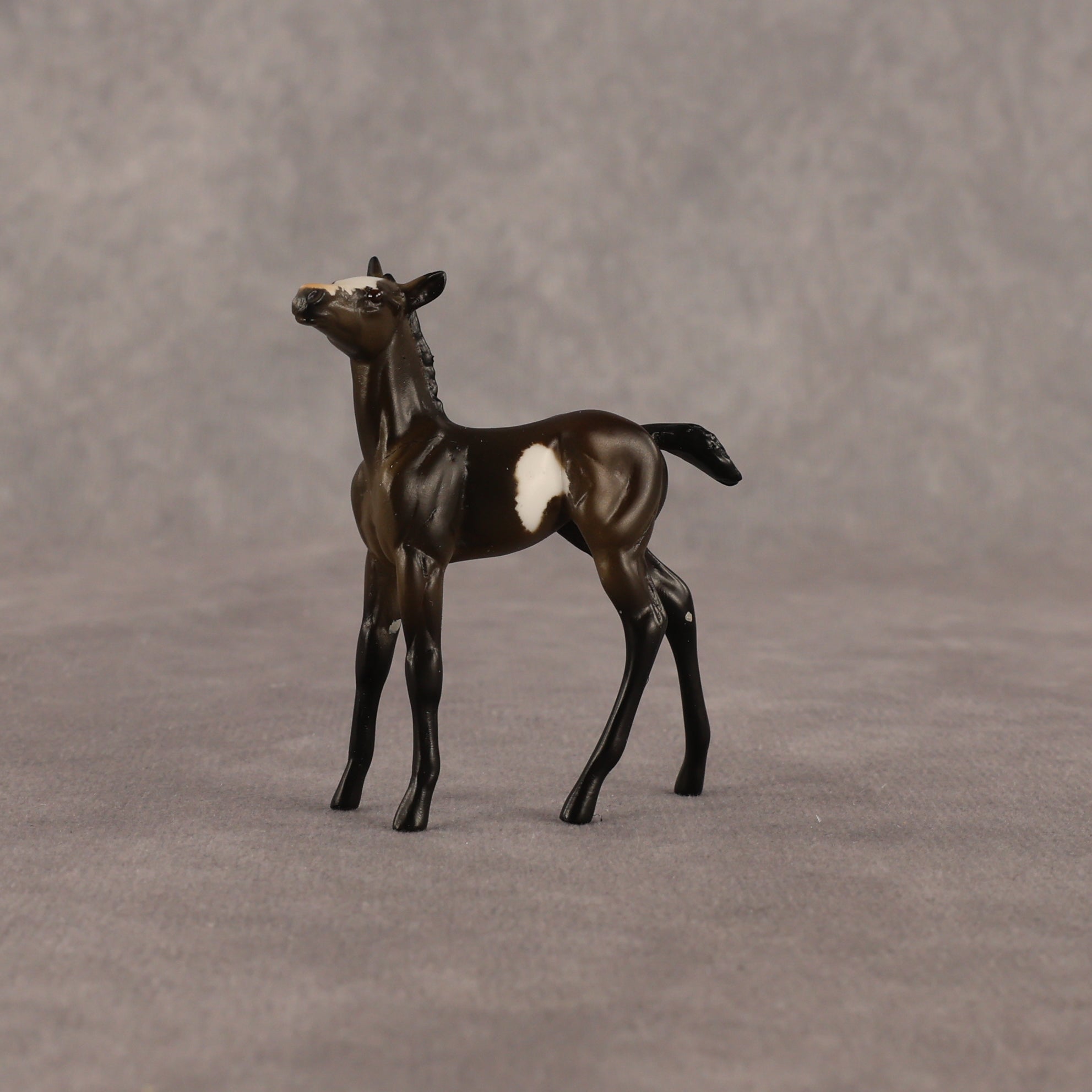 Theren OOAK Chip Foal by Anna Rieck EQ26