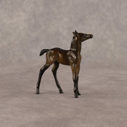 Theren OOAK Chip Foal by Anna Rieck EQ26