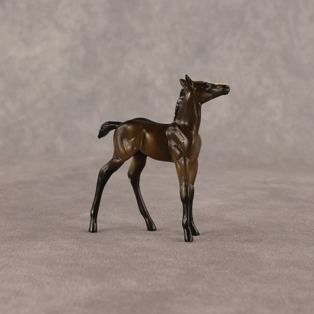 Theren OOAK Chip Foal by Anna Rieck EQ26