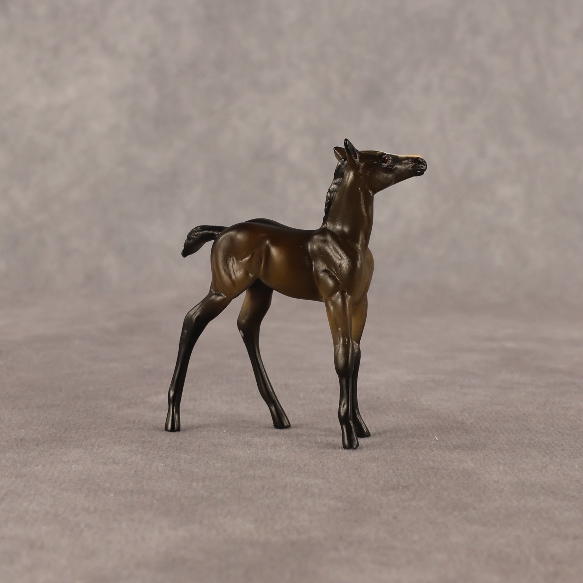 Theren OOAK Chip Foal by Anna Rieck EQ26