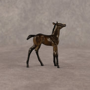 Theren OOAK Chip Foal by Anna Rieck EQ26