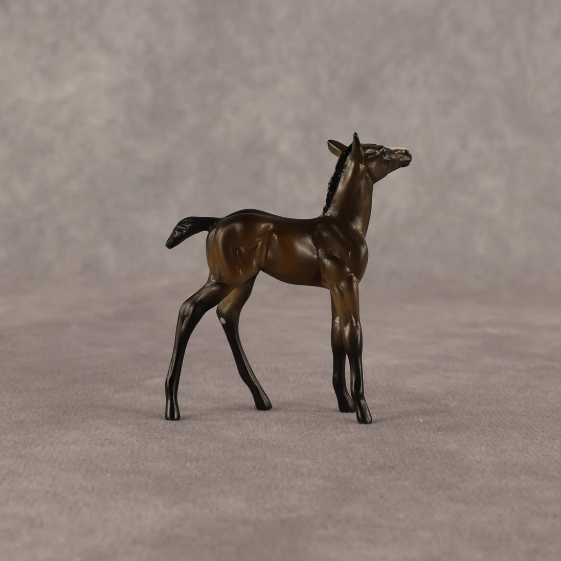 Theren OOAK Chip Foal by Anna Rieck EQ26