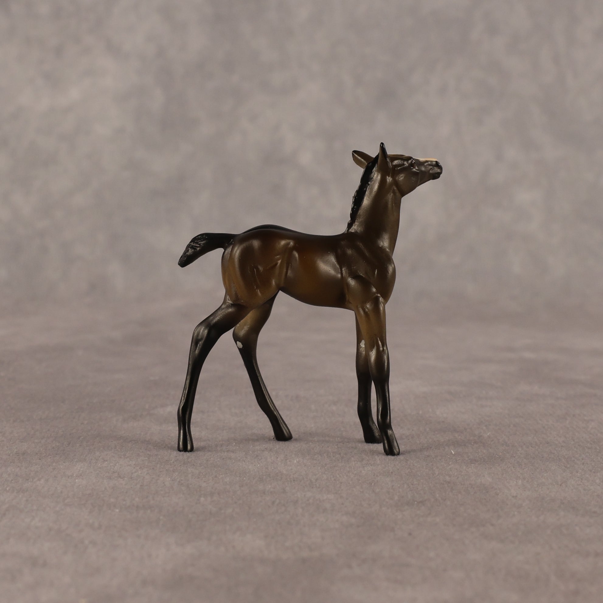 Theren OOAK Chip Foal by Anna Rieck EQ26