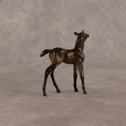Theren OOAK Chip Foal by Anna Rieck EQ26