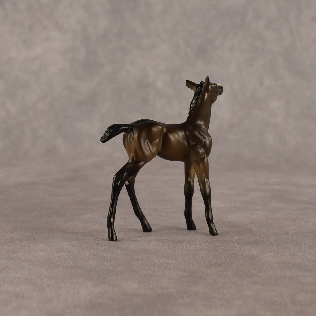 Theren OOAK Chip Foal by Anna Rieck EQ26
