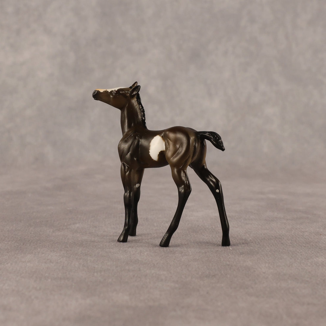 Theren OOAK Chip Foal by Anna Rieck EQ26