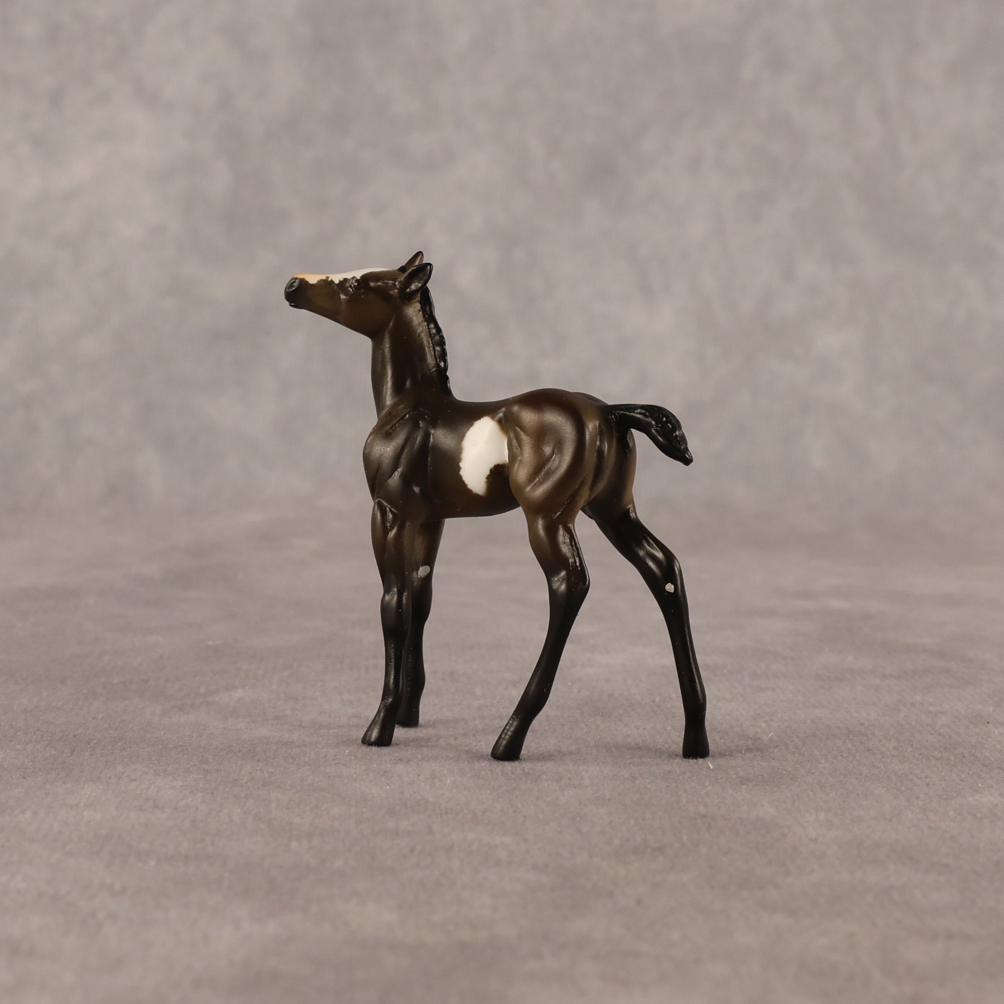 Theren OOAK Chip Foal by Anna Rieck EQ26