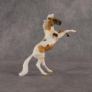 Thompson  OOAK Chip Mustang by Anna Rieck EQ26