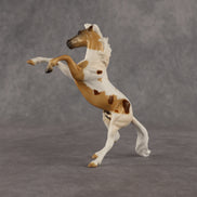 Thompson  OOAK Chip Mustang by Anna Rieck EQ26