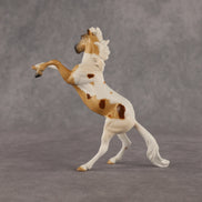 Thompson  OOAK Chip Mustang by Anna Rieck EQ26