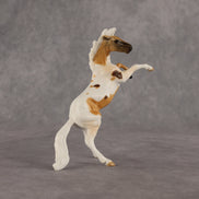 Thompson  OOAK Chip Mustang by Anna Rieck EQ26
