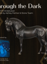 Through the Dark LE-5 FCM Andalusian by Ashley Palmer EQ26